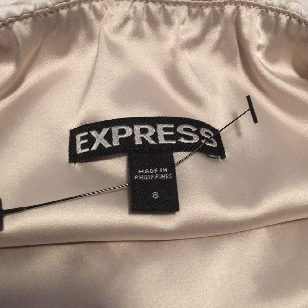 Express Dress - Picture 3 of 3
